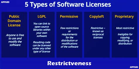 when you subscribe to software, no license is necessary. Yet, understanding the implications of software subscriptions transforms the traditional licensing paradigm.